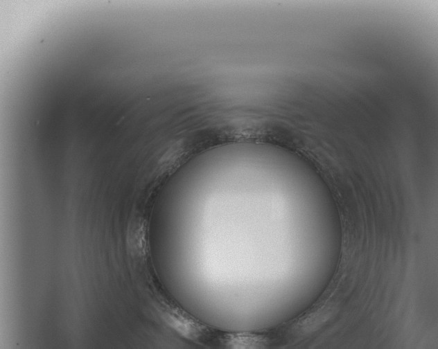 X0000068310336200604281742