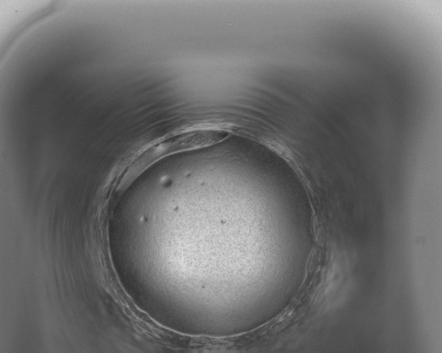 X0000068310337200604281741