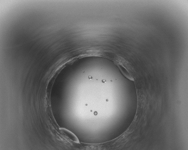 X0000068310338200604281741