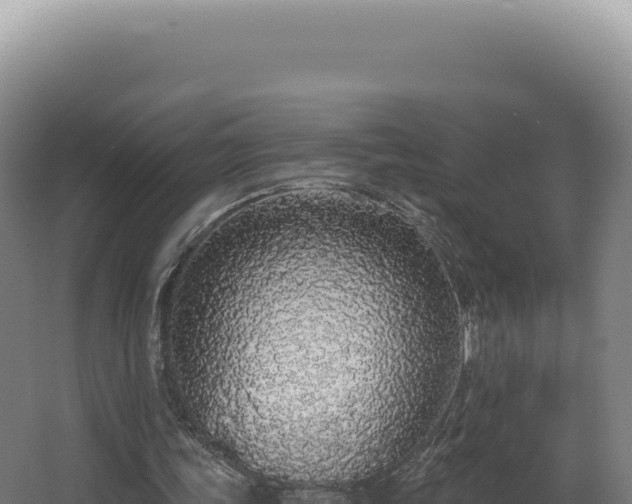 X0000068310339200604281741