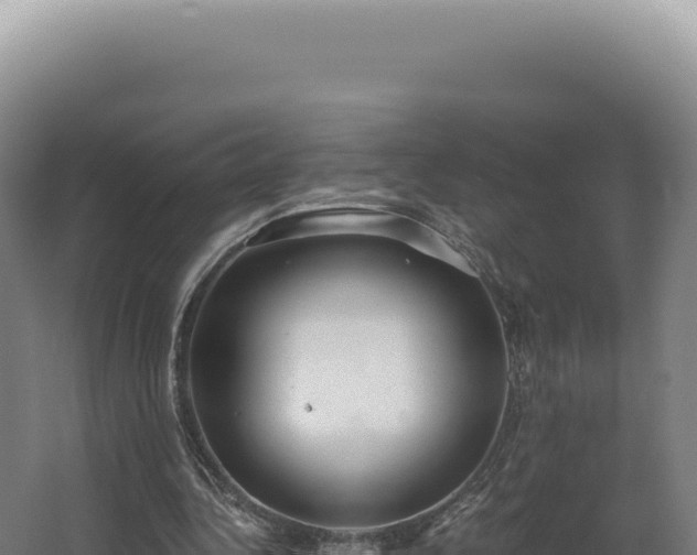 X0000068310340200604281741