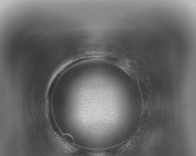 X0000068310342200604281741