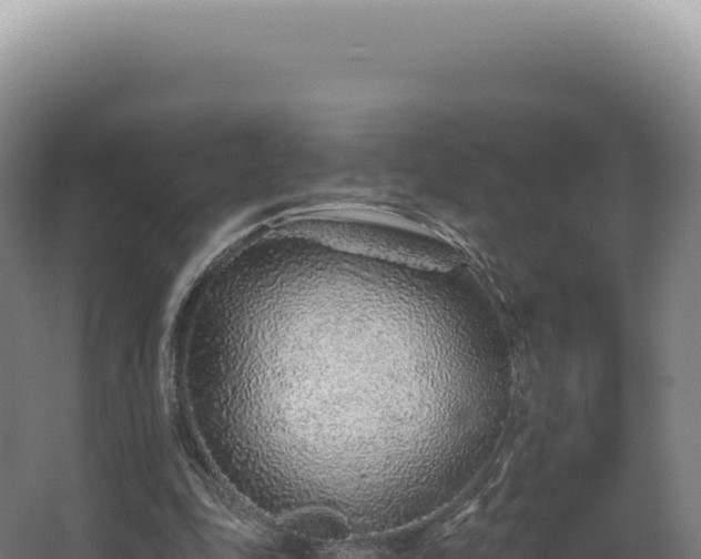 X0000068310343200604281741