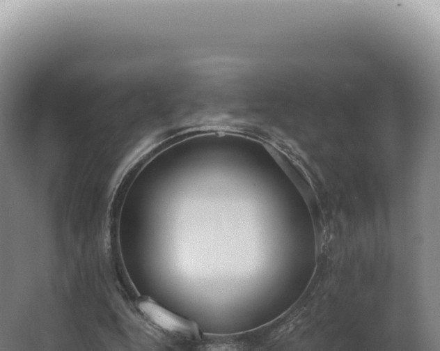 X0000068310344200604281741