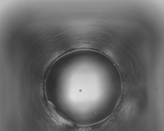 X0000068310345200604281741