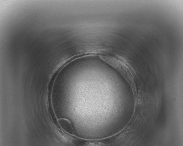 X0000068310346200604281741