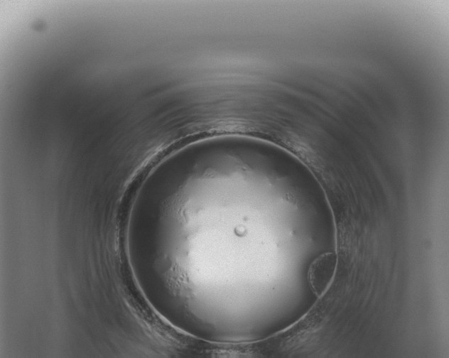 X0000068310347200604281741