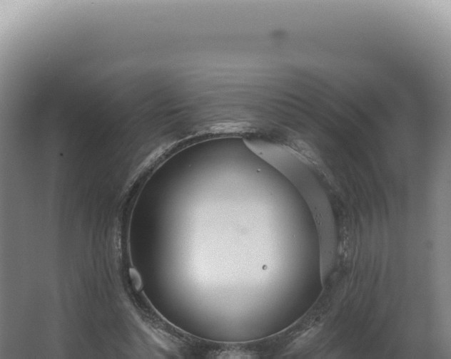 X0000068310348200604281741