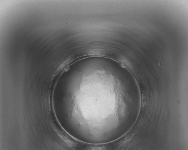 X0000068310349200604281741