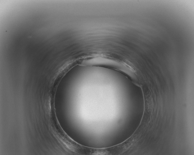 X0000068310350200604281741