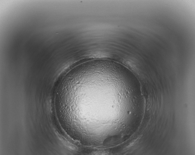 X0000068310351200604281741