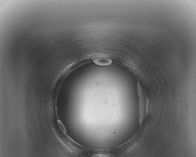 X0000068310352200604281741