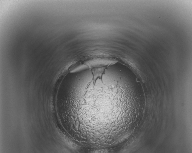 X0000068310353200604281741