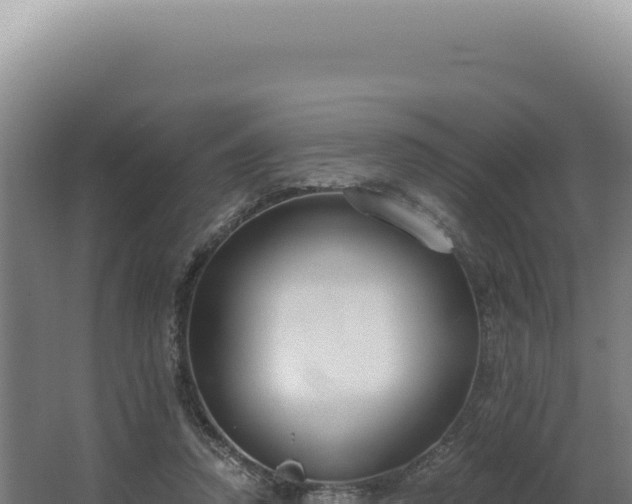 X0000068310354200604281741