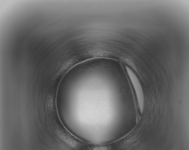 X0000068310357200604281741