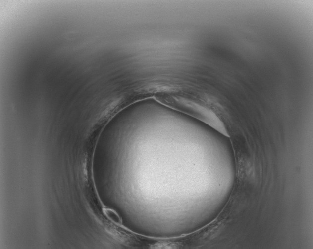 X0000068310358200604281741