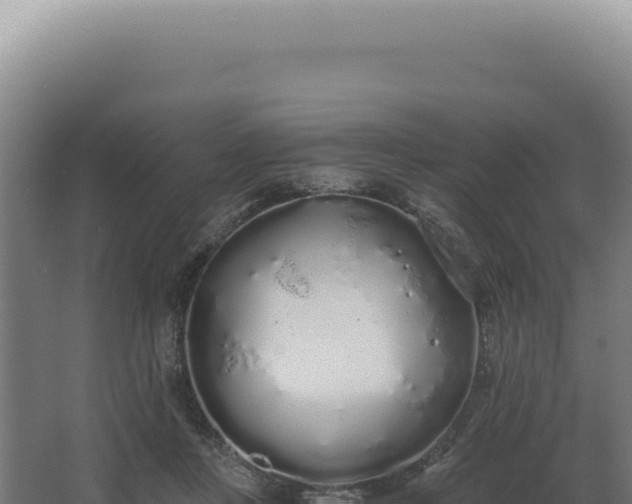 X0000068310359200604281741