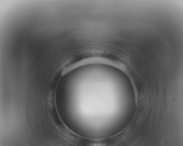 X0000068310360200604281741