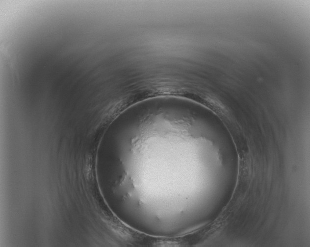 X0000068310361200604281741