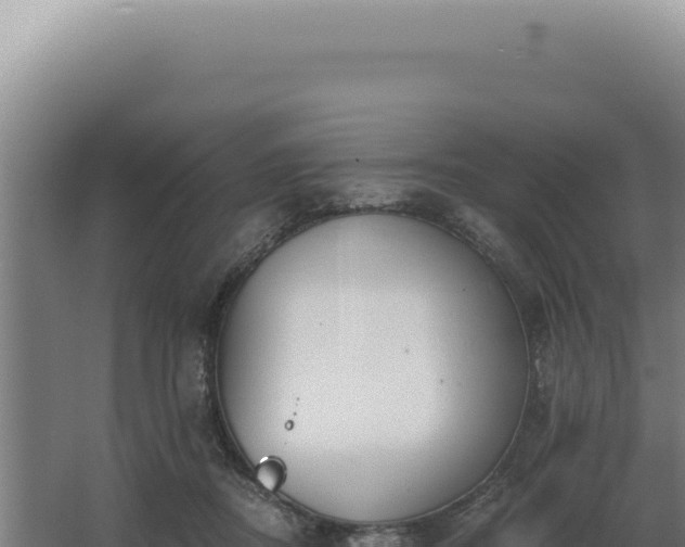 X0000068310362200604281741