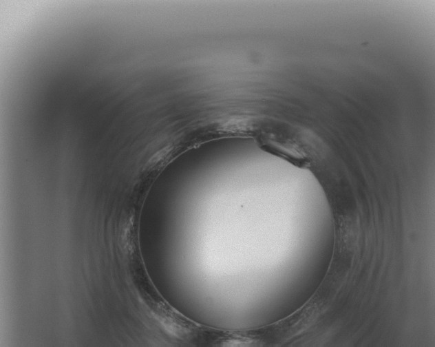 X0000068310364200604281741