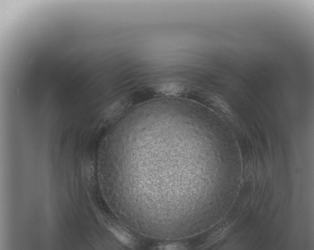 X0000068310365200604281741