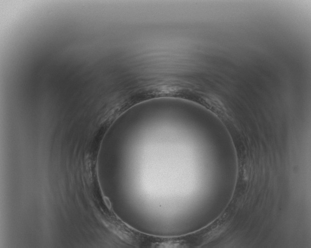 X0000068310366200604281741