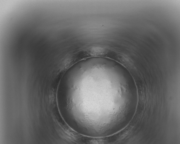 X0000068310367200604281741