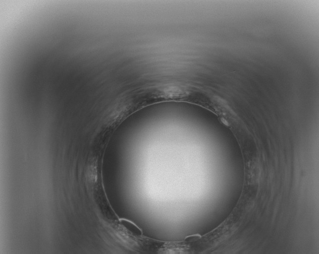 X0000068310368200604281742