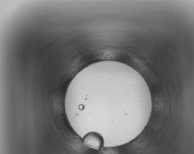 X0000068310370200604281742