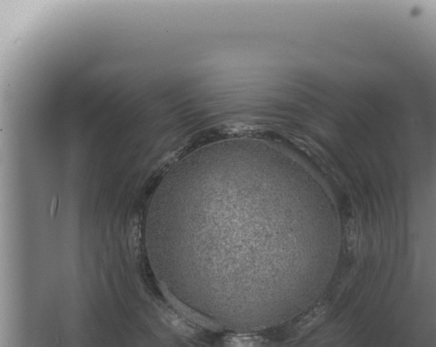 X0000068310372200604281742