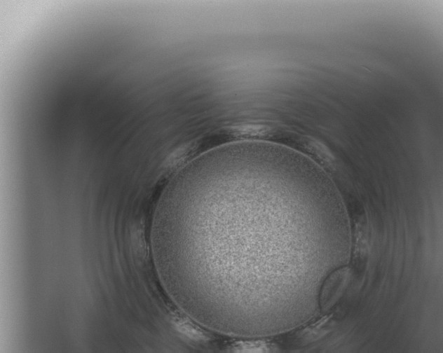 X0000068310377200604281742