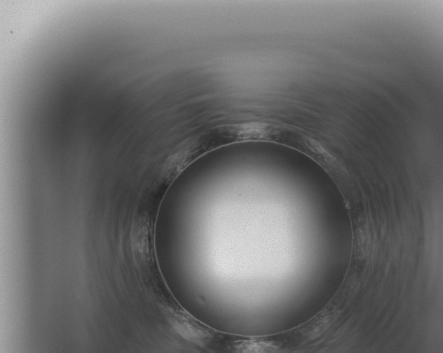 X0000068310379200604281742