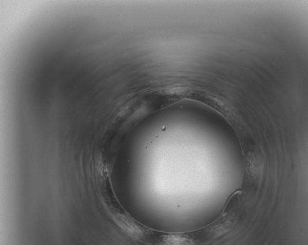 X0000068310380200604281742