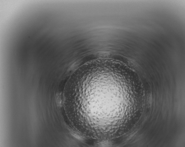 X0000068310383200604281742