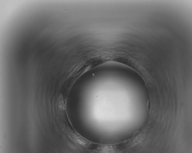 X0000068310384200604281742