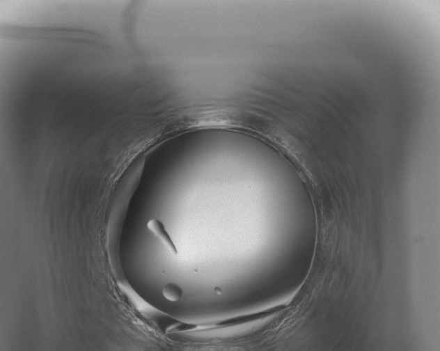 X0000068310385200604281741