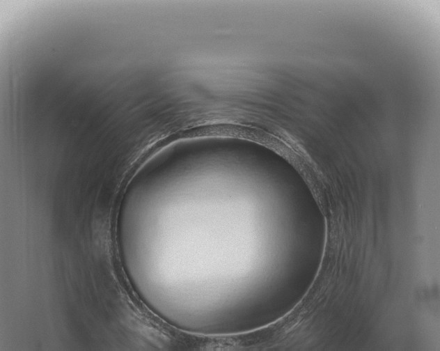 X0000068310386200604281741