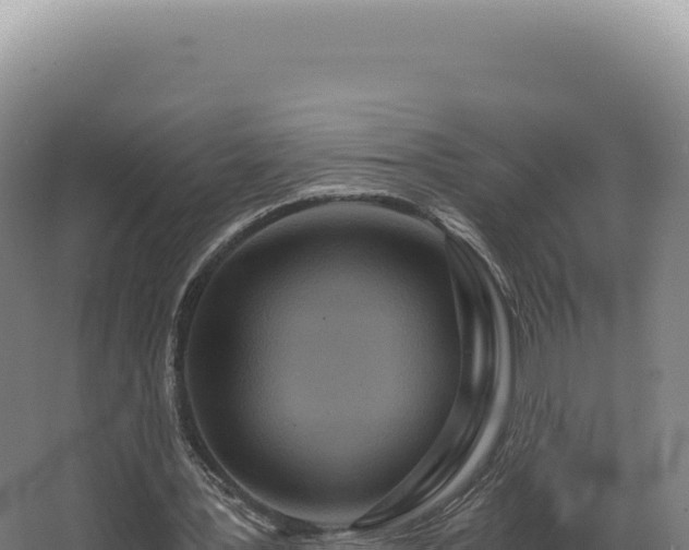 X0000068310387200604281741