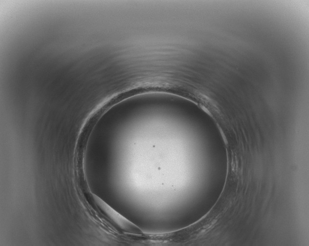 X0000068310388200604281741