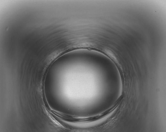 X0000068310389200604281741