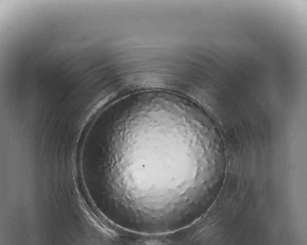 X0000068310390200604281741