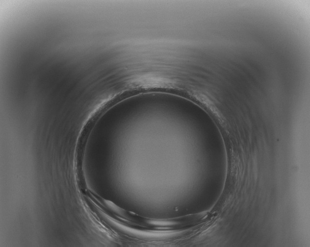 X0000068310391200604281741