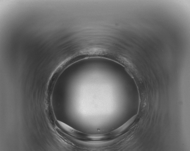 X0000068310392200604281741