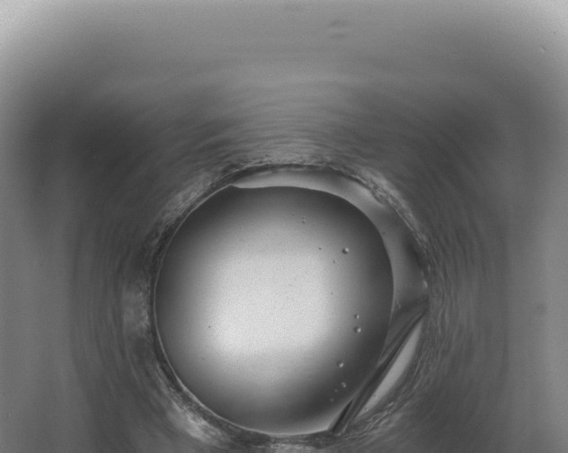 X0000068310393200604281741