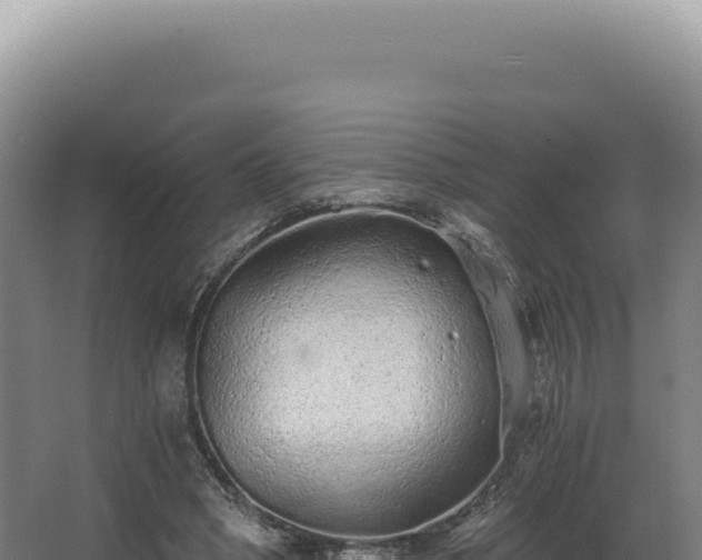 X0000068310394200604281741