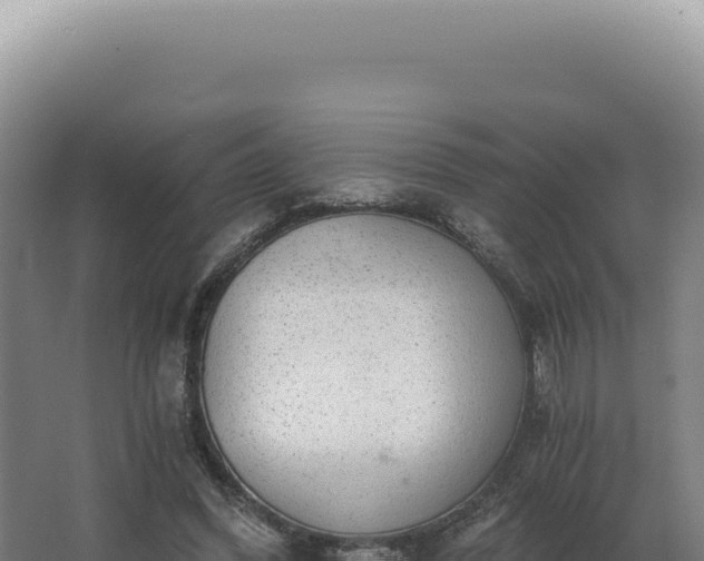 X0000068310396200604281741