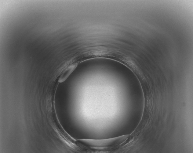 X0000068310397200604281741