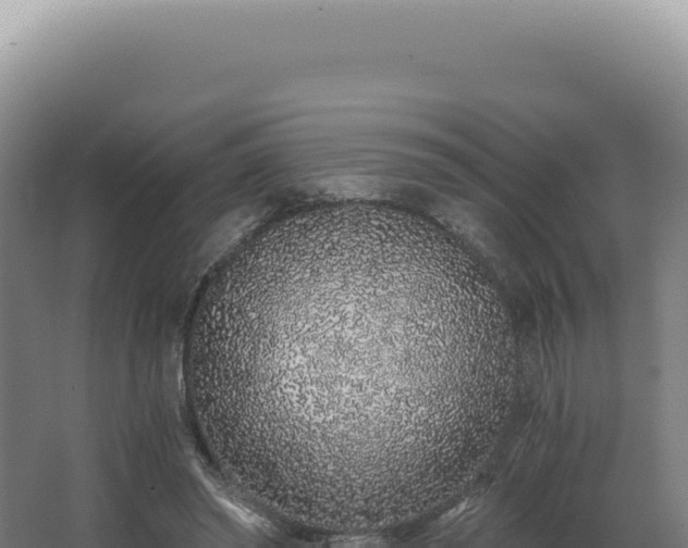 X0000068310398200604281741