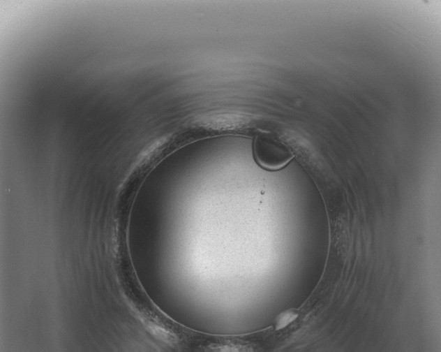 X0000068310400200604281741